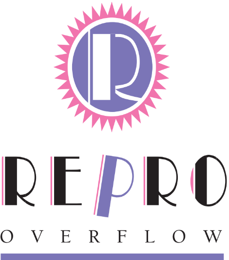 Repro Overflow